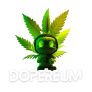 Project Logo