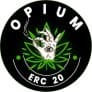Project Logo