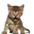 8oCGvuPW1jZ9aXHGmdapEuHAm7UprJUSdCVjwKiDkwTe