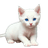 6LxiyAymdNBcCakYpwcbNdzLEP1Cd51dGAp8v53tBsPL