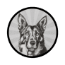 Project Logo