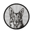 5jvnjwKkjP4K5x82Zsbqz9FXopnnDe9jSeDzwEiyuX5L