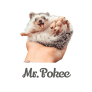 Project Logo