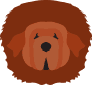 Project Logo
