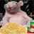 FNKu61bmFnptfQfGEWLXQ5N7fk883wihtGC9KWU8HFyA